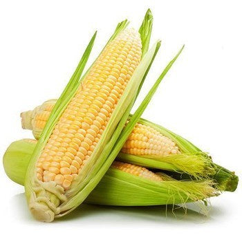 Corn Cobs $/ea