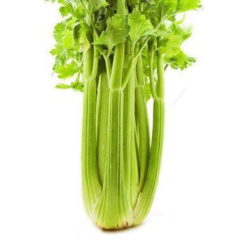 Celery $/ea