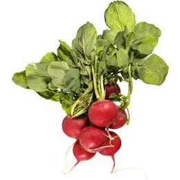 Radishes $/bunch