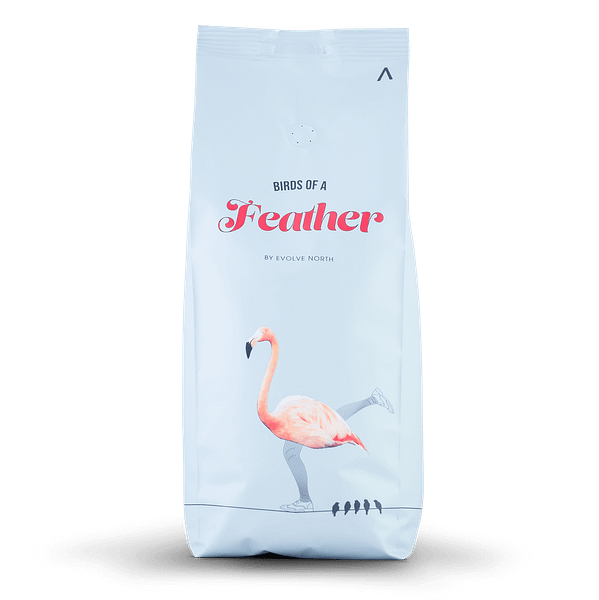 Evolve North Birds of a Feather Coffee 500g