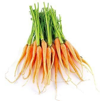 Carrots Dutch $/bunch