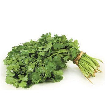 Herbs - Coriander $/bunch