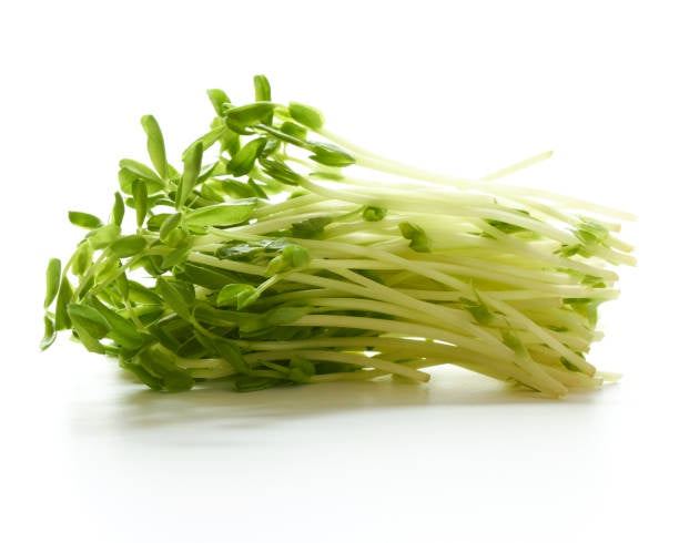 Snowpea Sprouts 100gm