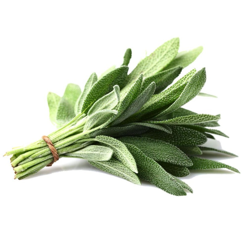 Herbs - Sage $/bunch