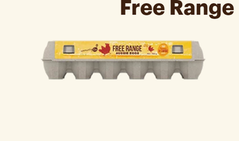 Community Co Free Range Eggs 700g 12pk