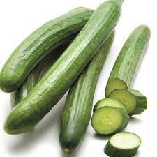 Cucumber Continental $/ea