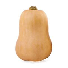 Pumpkin - Butternut Whole $/ea